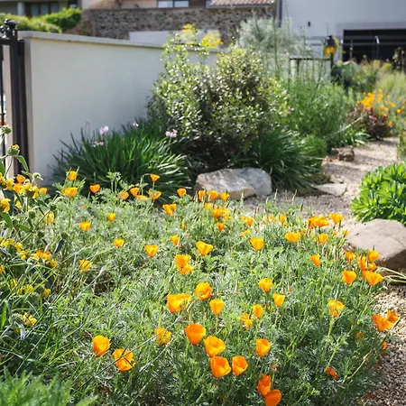 Chic Converted Stables *